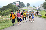 在汤泽高原滑雪场观赏高山植物。