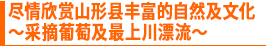 尽情欣赏山形县丰富的自然及文化 ~采摘葡萄及最上川漂流~