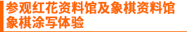 参观红花资料馆及象棋资料馆 象棋涂写体验