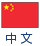 中文