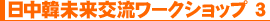 日中韓未来交流ワークショップ(3)