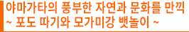 야마가타의 풍부한 자연과 문화를 만끽 ~ 포도 따기와 모가미강 뱃놀이 ~